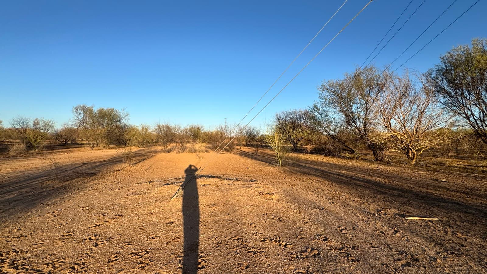 Vialidad trazada dentro del desarrollo al atardecer